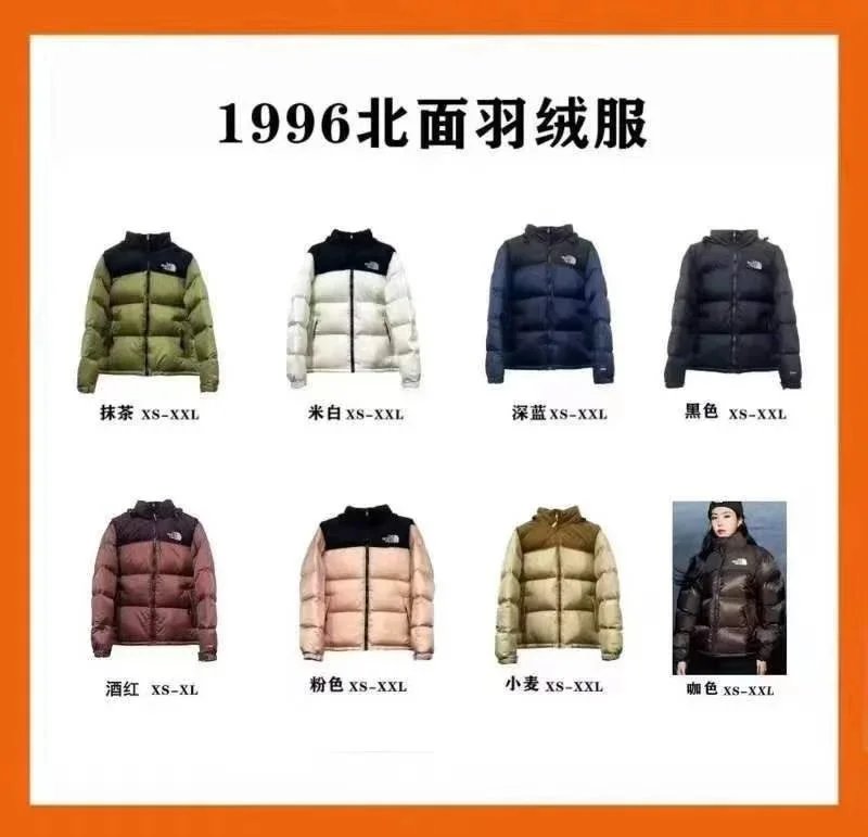 The North Face down jacket